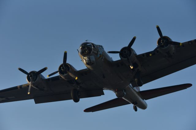 Boeing B-17 Flying Fortress (N93012) - Taken 12 May 2019