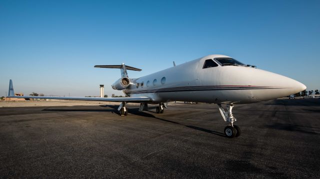 Gulfstream Aerospace Gulfstream 3 (N175BG)