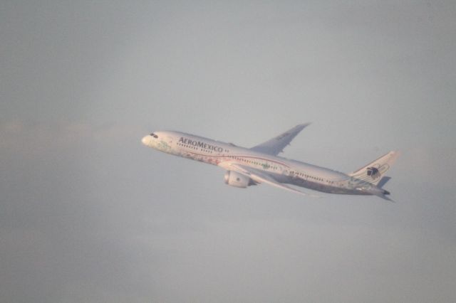 Boeing 787-9 Dreamliner (XA-ADL) - DEPARTURE FROM 27 MMTJ