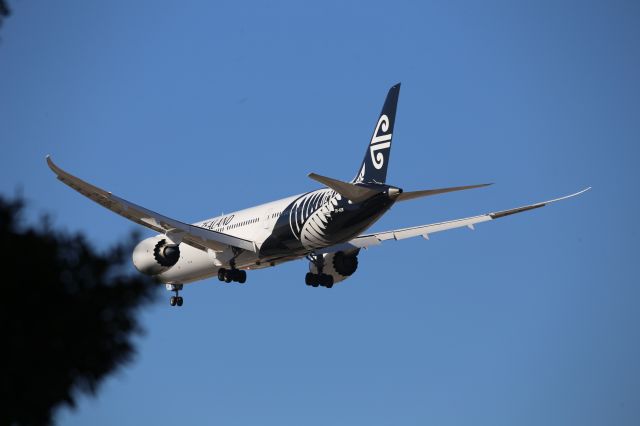 Boeing 787-9 Dreamliner (ZK-NZR)