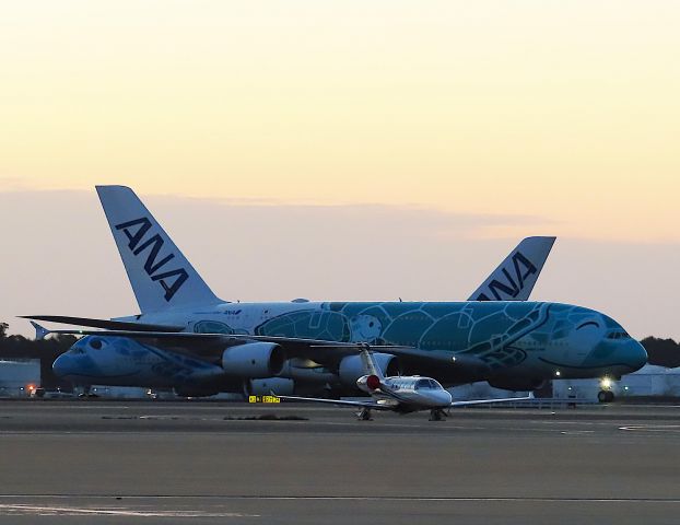 Airbus A380-800 (JA382A) - I took this picture on Nov 18, 2019.br /NH181/17 HNL-NRT