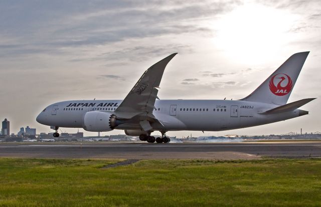Boeing 787-8 (JA823J) - Japan Airlines B787-800 Dreamliner