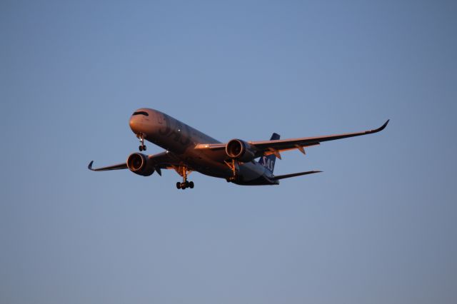 Airbus A350-900 (SE-RSA) - Landing 28C