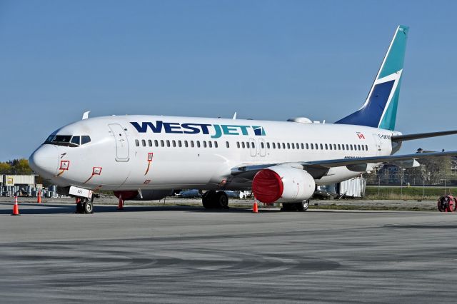 Boeing 737-800 (C-GKWA) - Taped up for long term storage during OCIVD-19 crises 