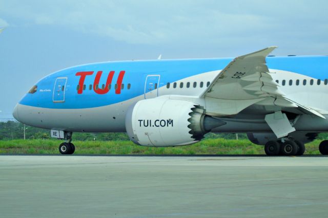 Boeing 787-8 (G-TUIE)