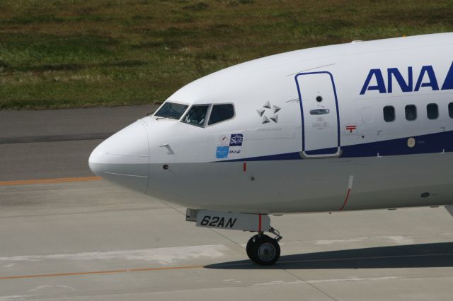 Boeing 737-800 (JA62AN)