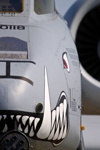 Fairchild-Republic Thunderbolt 2 — - The working end of an A-10