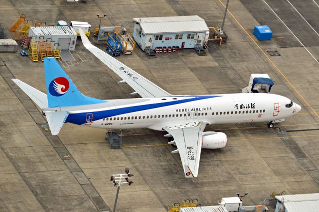Boeing 737-800 (B-6299)
