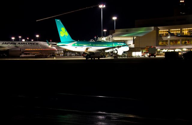 Boeing 757-200 (EI-LBR) - Happy St. Patricks Day !