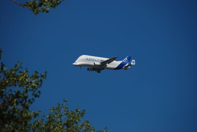 SATIC Super Transporter (F-GSTF) - The Airbus A300-600ST (Super Transporter) or Beluga, flying over Chester