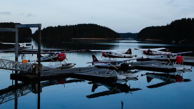 — — - An overview of Trident Basin Seaplane Base's Island Air float, with several DHC Beavers and Cessna aircraftbr /Photo date: 11-11-24br /Upload date: 11-21-24