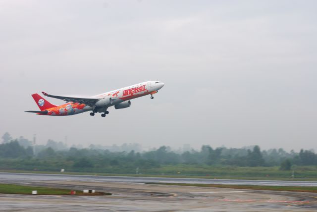 Airbus A330-300 (B-6590)