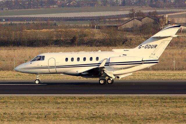 Hawker 800 (G-ODUR) - TEFAF 2010 VISITOR.
