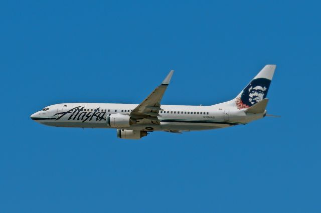 Boeing 737-800 (N534AS) - Hawaiian Lei logo