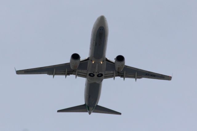 Boeing 737-800 (9Y-KIN) - Over Long Island, NY - Approach to Landing at JFK Runway 21L