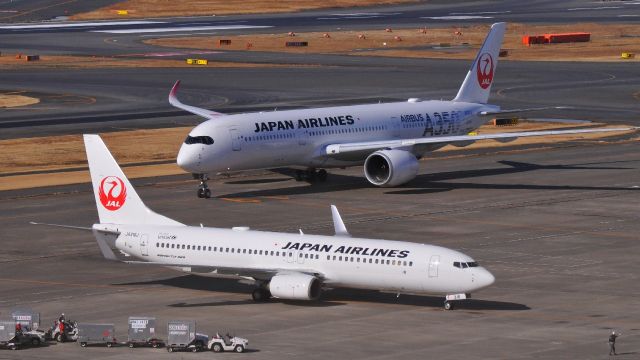 Boeing 737-800 (JA316J)