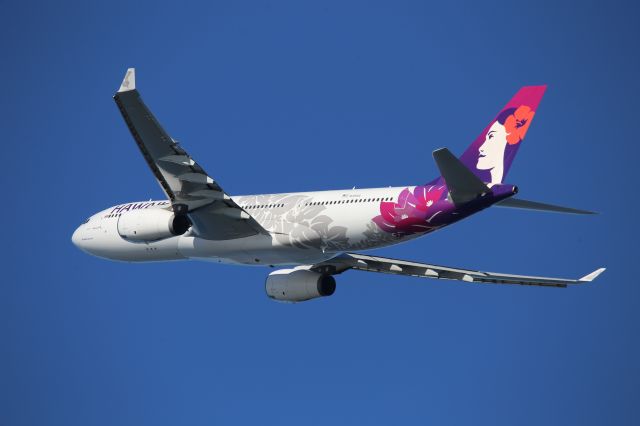 Airbus A330-200 (N391HA)