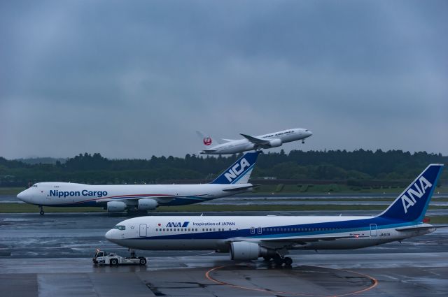 BOEING 767-300 (JA617A)