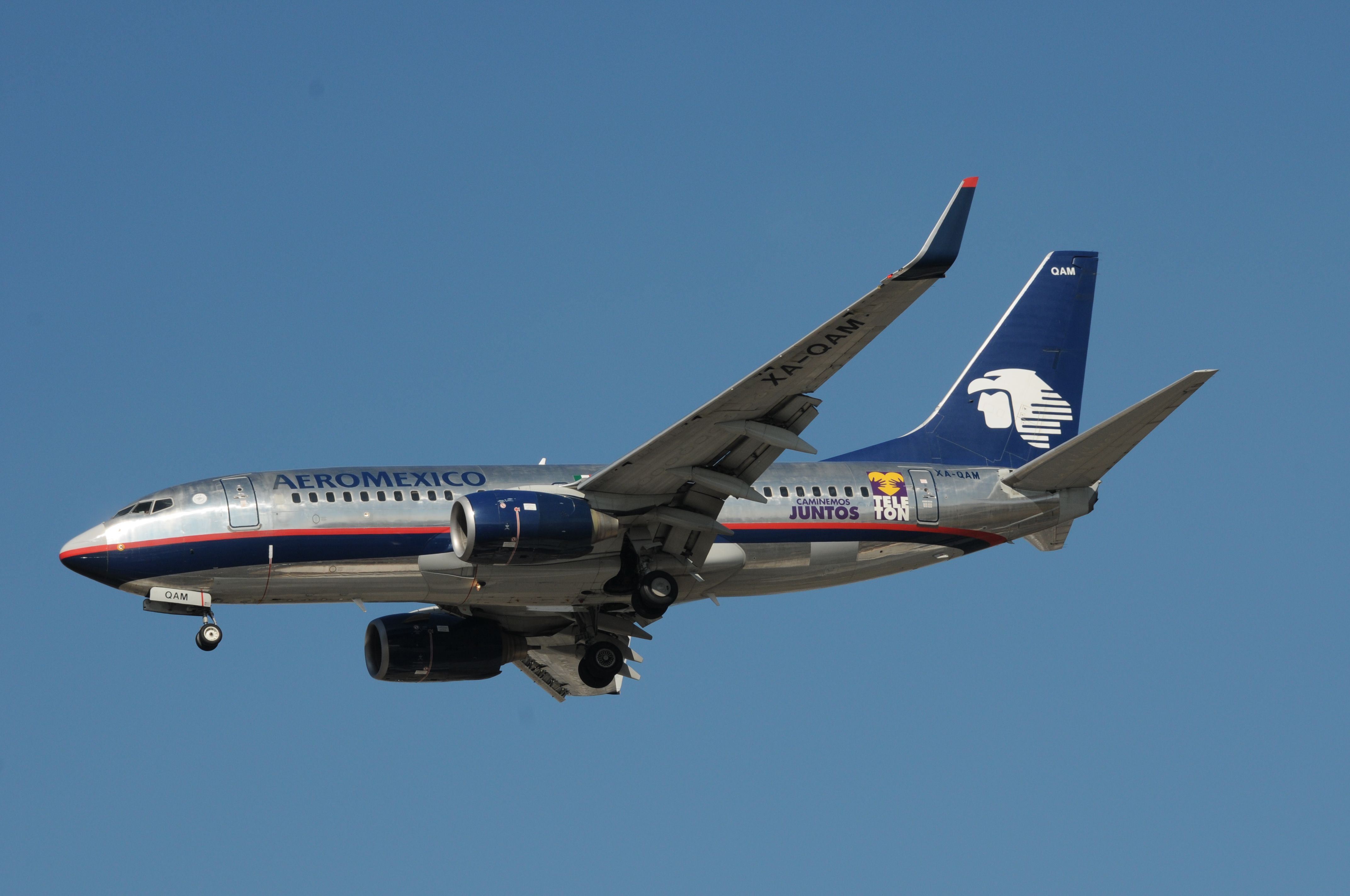 Boeing 737-700 (XA-OAM)