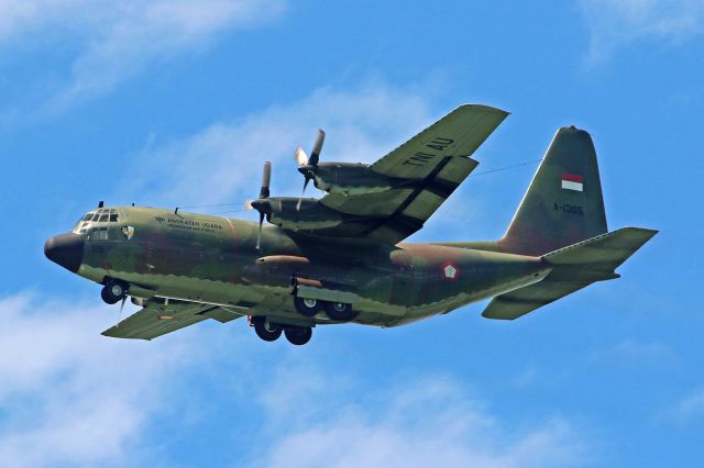 Lockheed C-130 Hercules (A1305) - SkU32