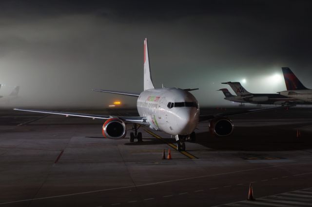 BOEING 737-300 (XA-VIV)