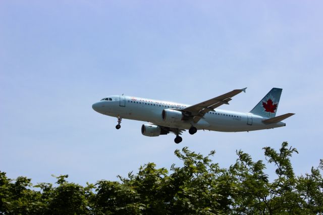 Airbus A330-300 (C-FDST) - Landing 05 today 2:10pm from Vancouver...