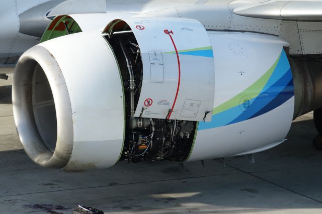 Boeing 737-800 (N516AS) - Brand new engine being put on N516AS after a landing gear collapse in a storm had the aircraft rolling on the engine.