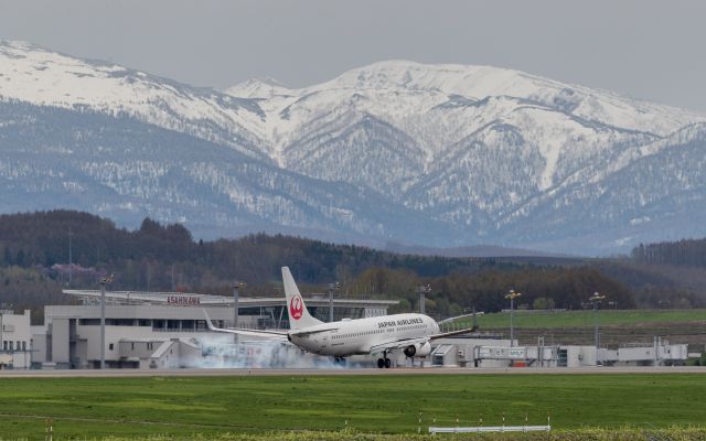 Boeing 737-800 (JA302J) - Japan Airlines [JL/JAL] / Boeing 737-846br /May.06.2018 Asahikawa Airport [AKJ/RJCE] JAPAN