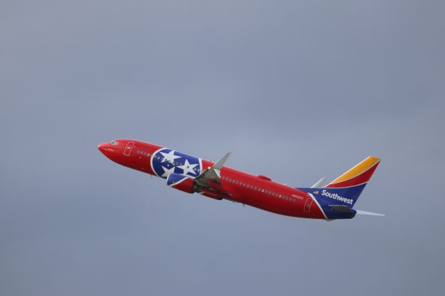Boeing 737-800 (N8620H) - "Tennessee One 2.0" on a 737-800. fist time catching one of WN's new -800 specials.