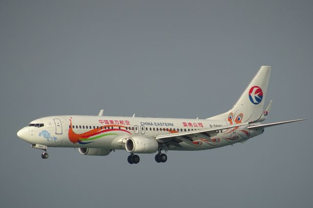 Boeing 737-800 (B-5683)