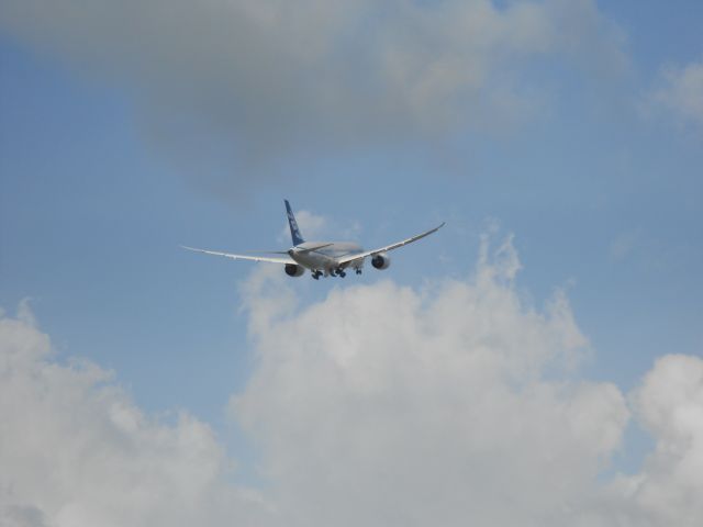 Boeing 787-8 (N787ZA)