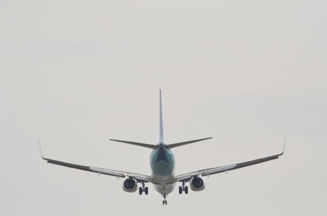 Boeing 737-800 —