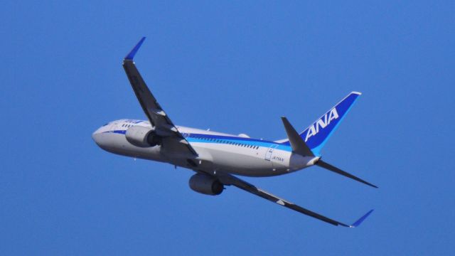 Boeing 737-800 (JA75AN)
