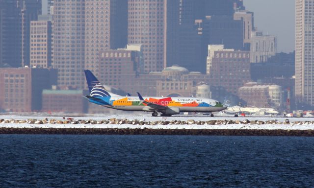 Boeing 737-800 (HP-1825CMP)