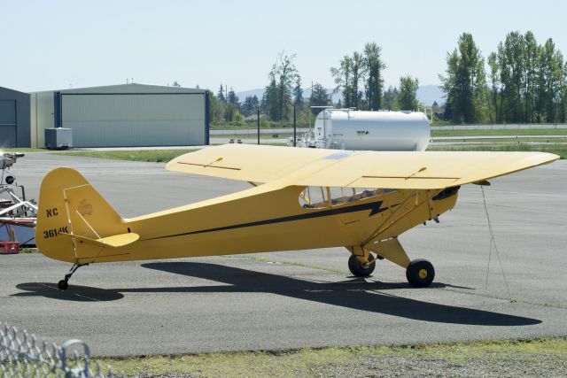 Piper NE Cub (NC3614K)