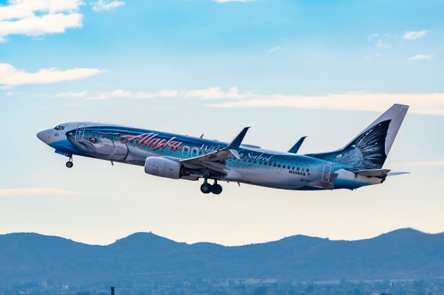 Boeing 737-800 (N559AS) - Alaska Airlines 737-800 in Salmon Thirty Salmon II special livery taking off from PHX on 12/7/22. Taken with a Canon R7 and Tamron 70-200 G2 lens.