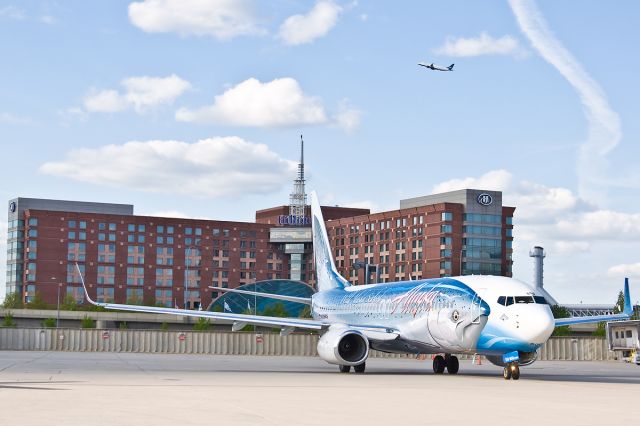 Boeing 737-800 (N559AS) - Salmon special livery