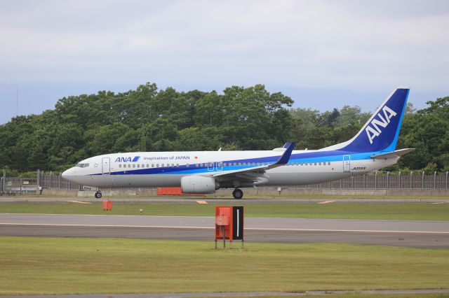 Boeing 737-800 (JA85AN) - June 21st 2021:HKD-ITM.