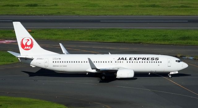 Boeing 737-800 (JA342J)