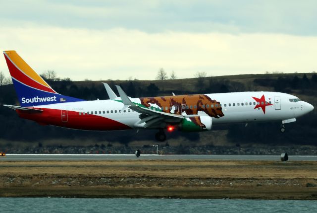 Boeing 737-800 (N8653A) - California One