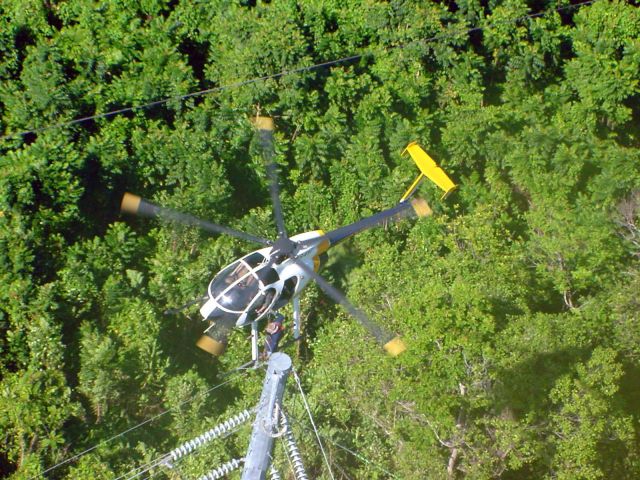 N5841Z — - PR Electric Power Authority helicopter transfering a lineman to a transmission line structure in a remote site for emergency repair