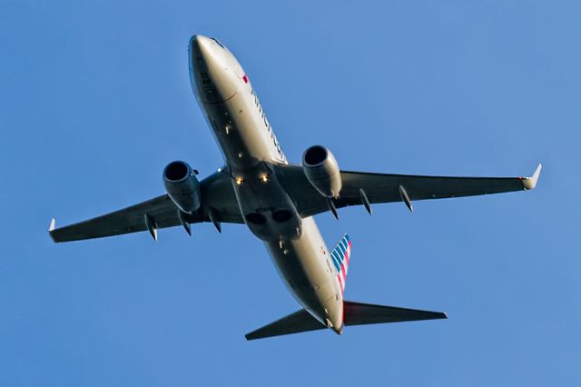 Boeing 737-800 —