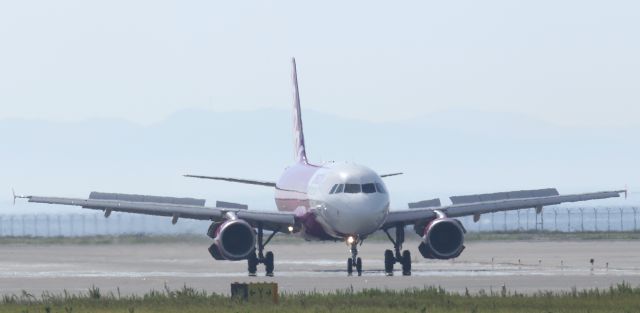 Airbus A320 (JA806P)