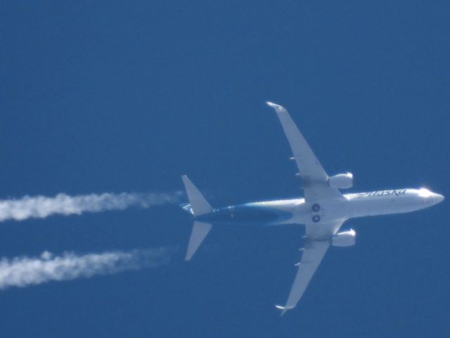 Boeing 737-900 (N462AS)