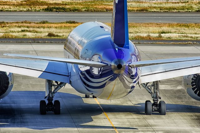 Boeing 787-8 (JA801A)