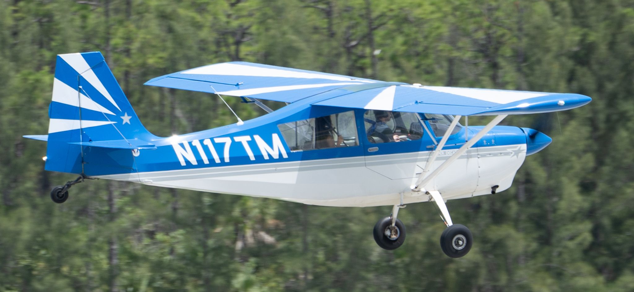 CHAMPION Decathlon (N117TM)