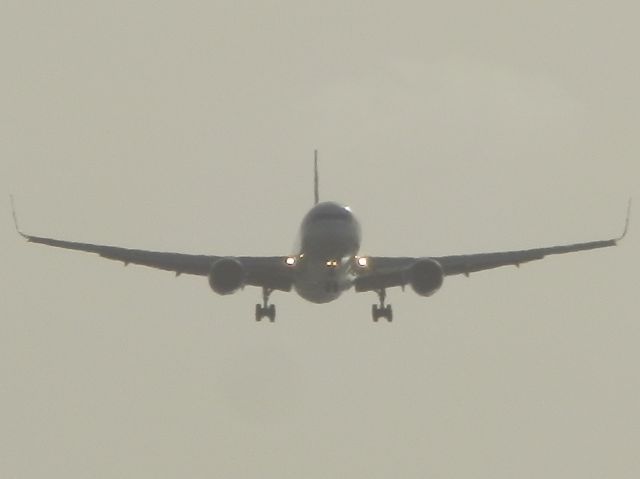 BOEING 767-300 (PT-MSW)