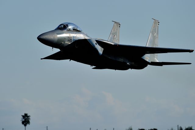 McDonnell Douglas F-15 Eagle (92-8095) - JASDF(Japan Air Self-Defense Force）<br>Nyutabaru Air Self-Defense Force Base "Air Festival"