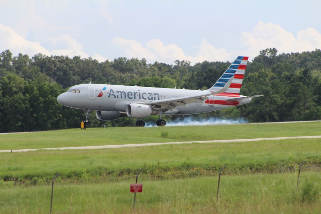 Airbus A319 (N8030F)