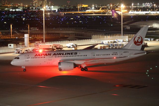 Boeing 787-8 (JA837J) - April 13th 2018:PEK-HND.